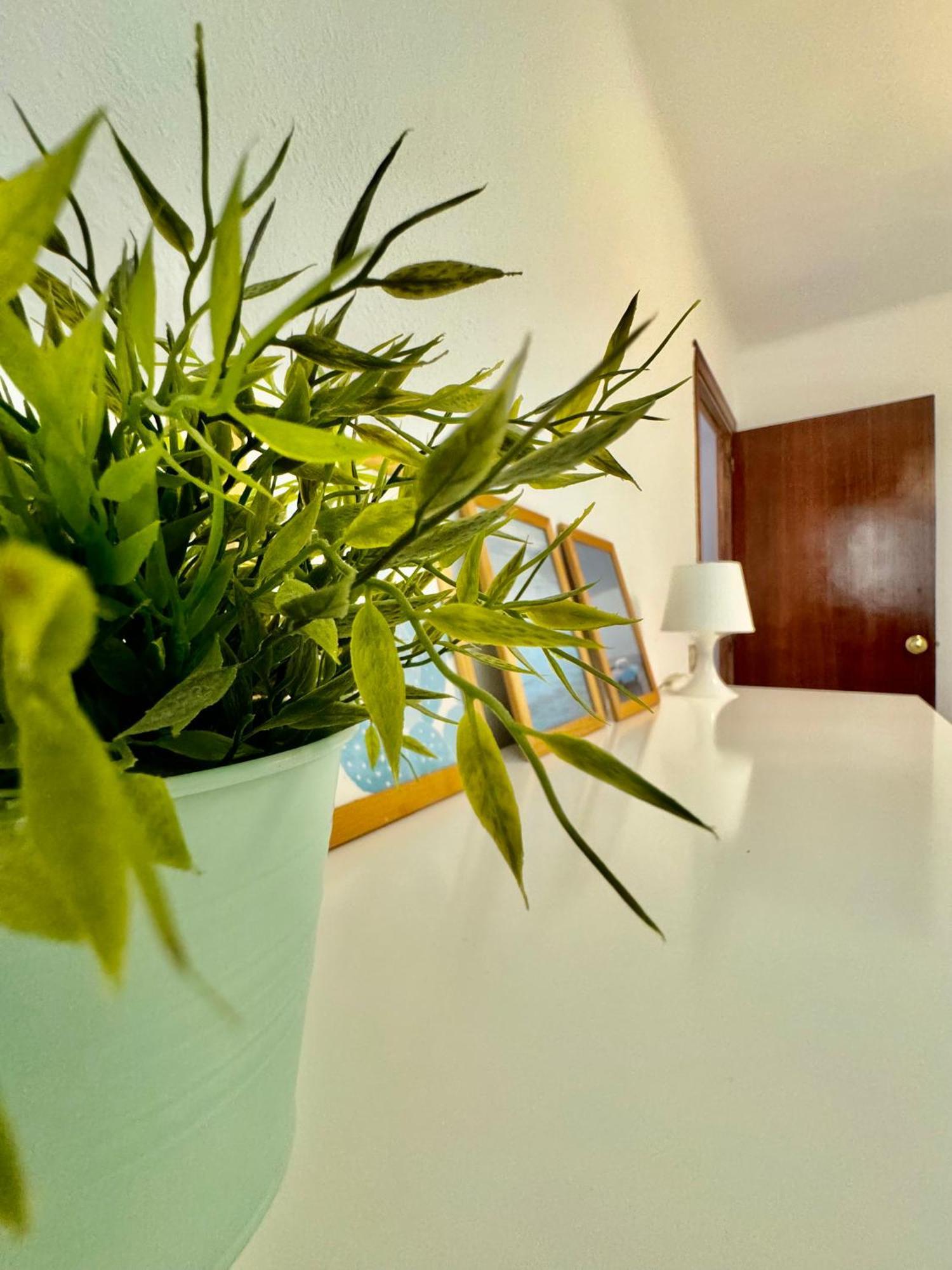 Acogedor Apartamento En Малага Екстер'єр фото