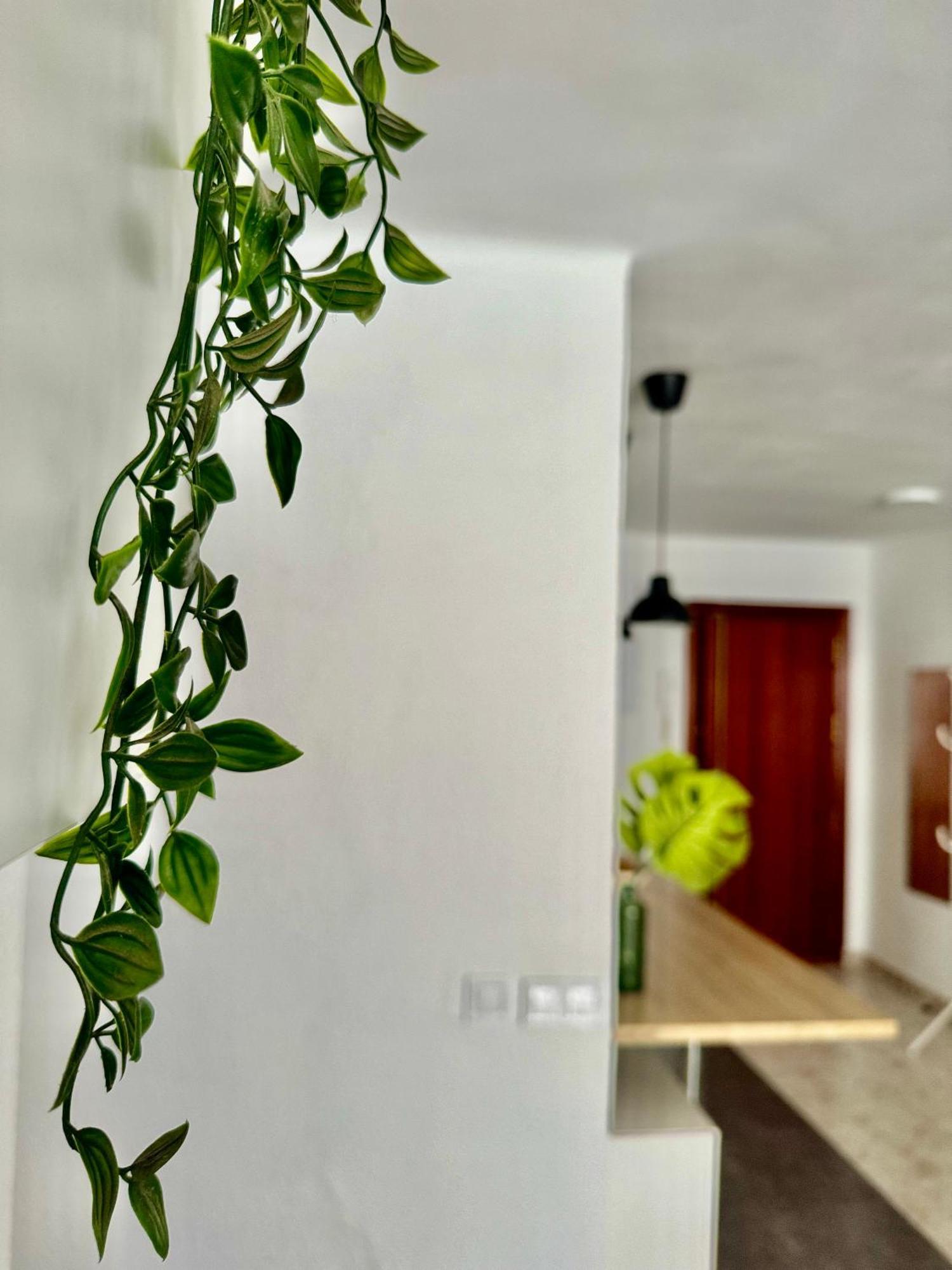 Acogedor Apartamento En Малага Екстер'єр фото